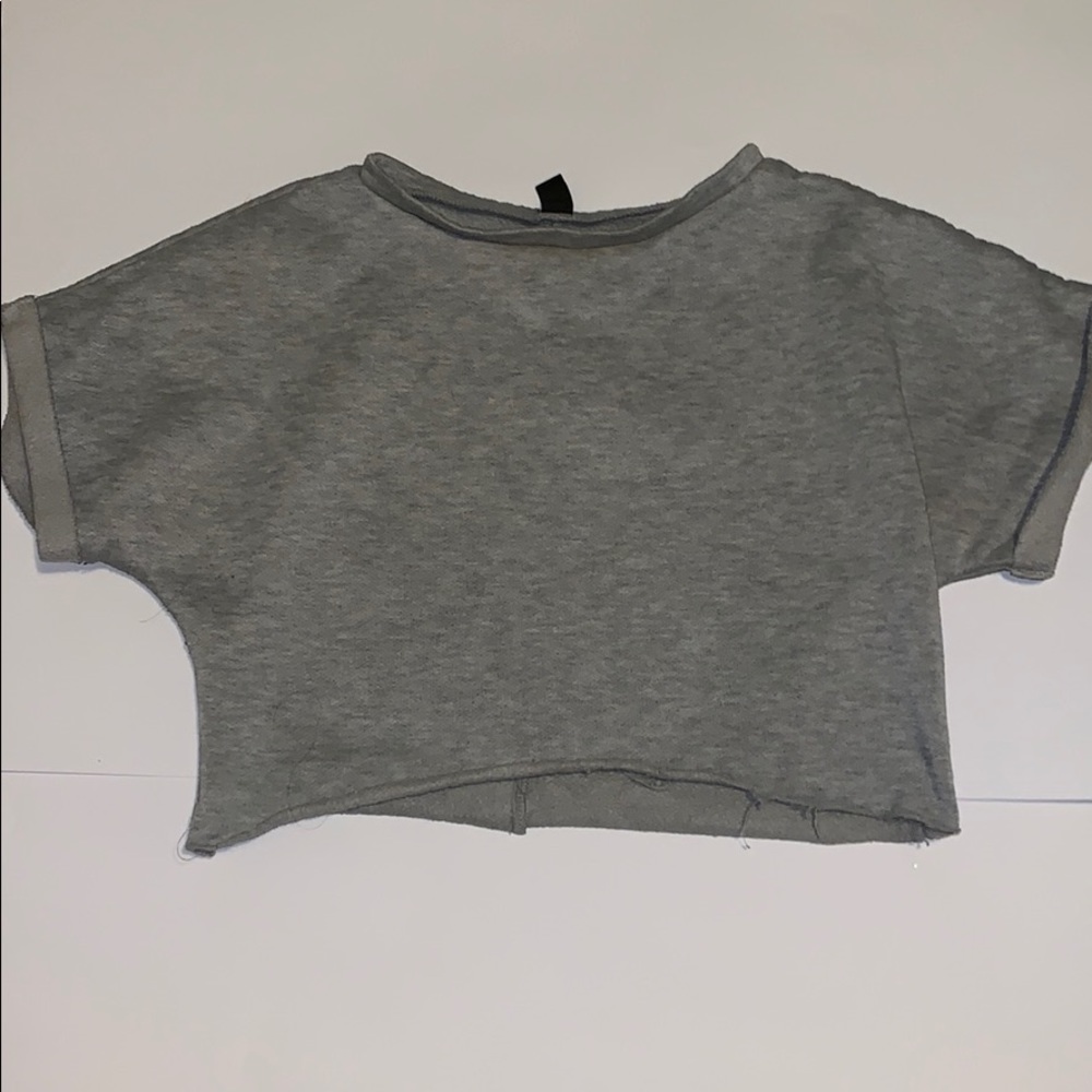 GRAY SHORT SLEEVE SWEATER CROP TOP